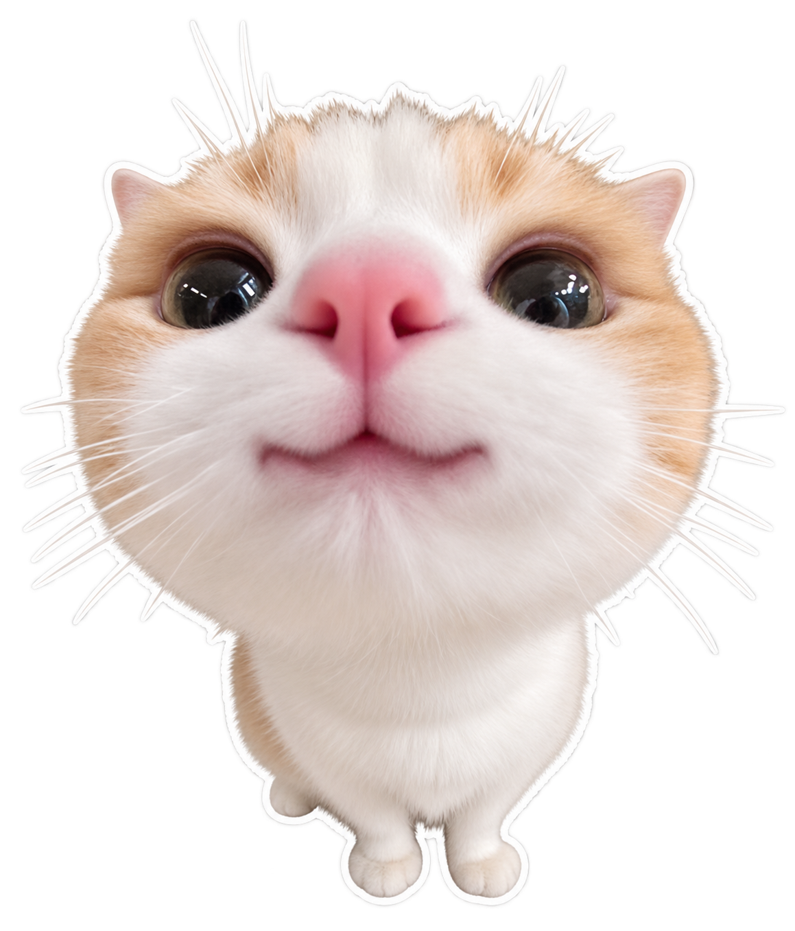 Cat sticker with big glossy eyes and a comically close-up pink nose